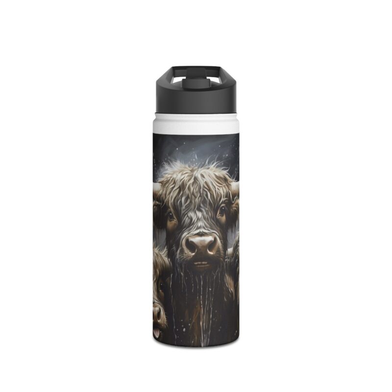 Highland Cows Stainless Steel Water Bottle