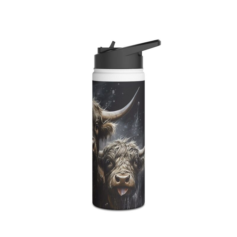 Highland Cows Stainless Steel Water Bottle