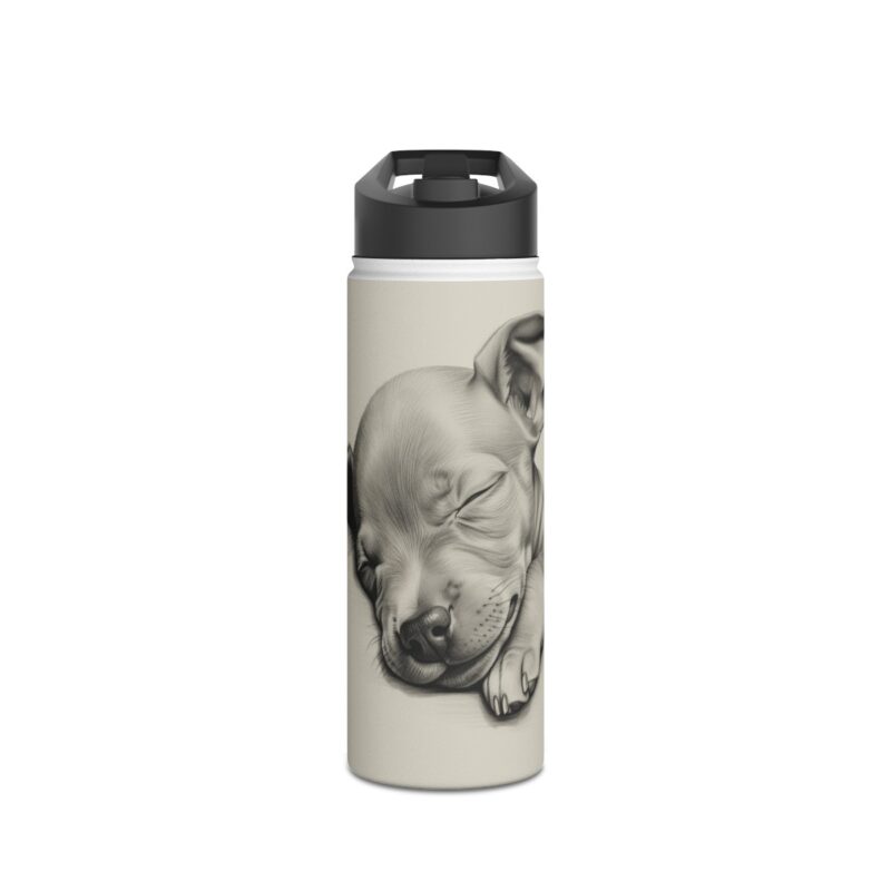 American Hairless Terrier Stainless Steel Water Bottle