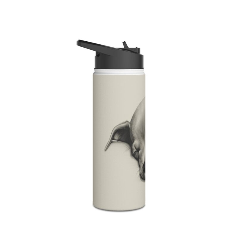 American Hairless Terrier Stainless Steel Water Bottle