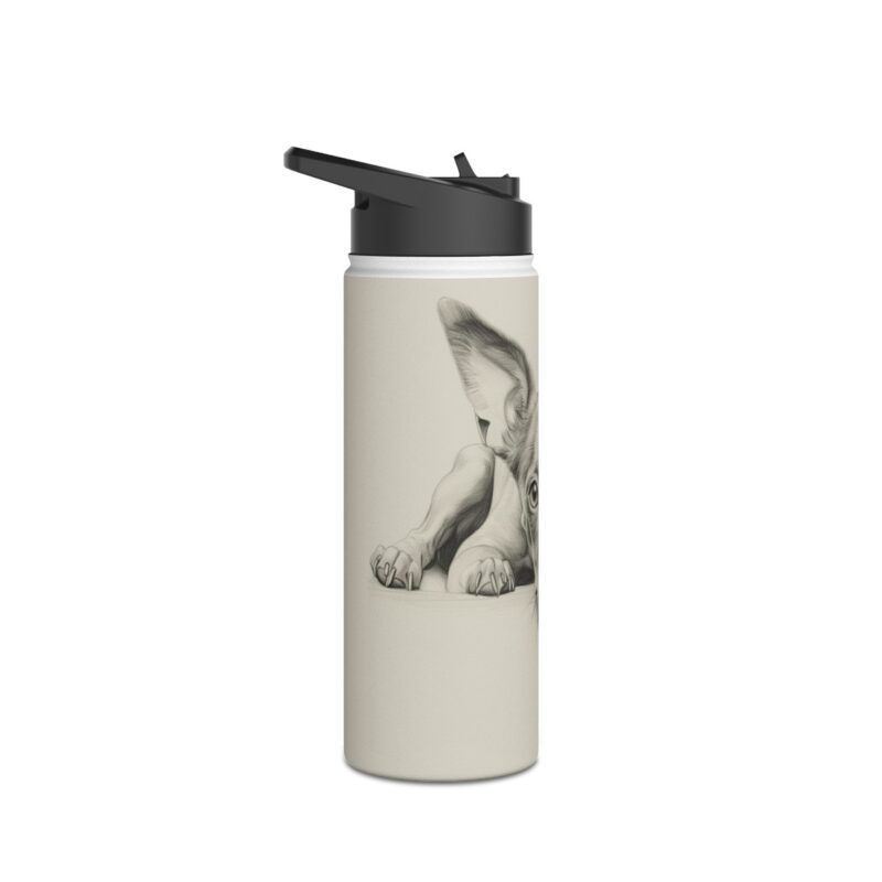 American Hairless Terrier Stainless Steel Water Bottle