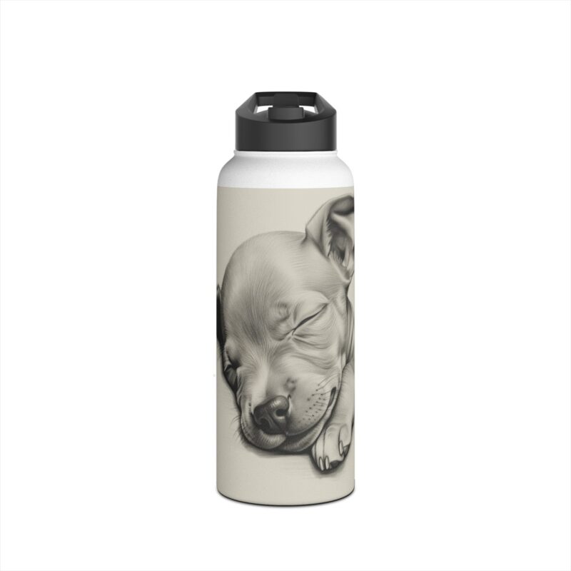 American Hairless Terrier Stainless Steel Water Bottle