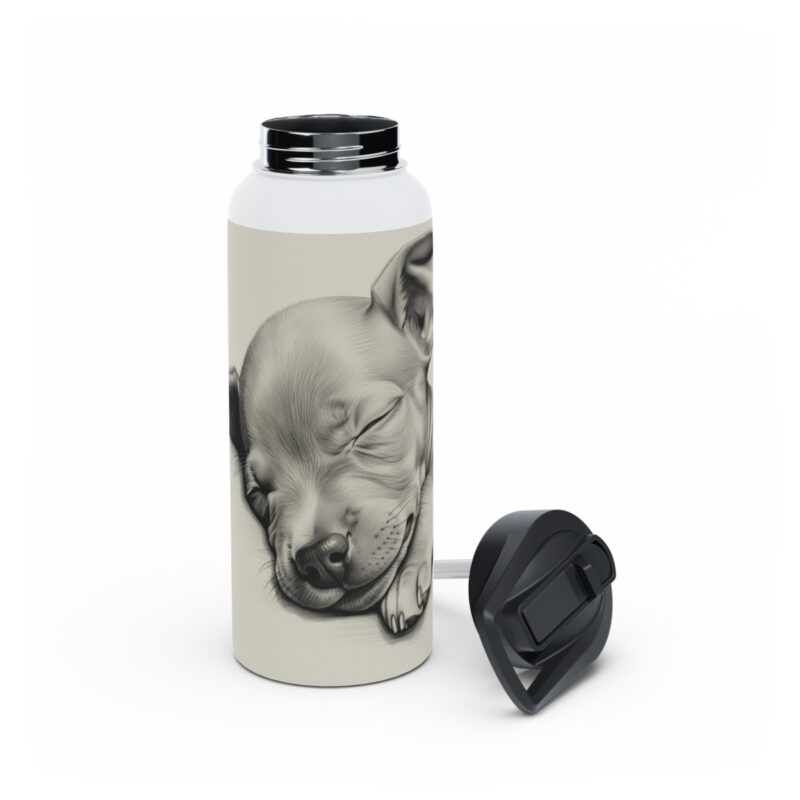 American Hairless Terrier Stainless Steel Water Bottle