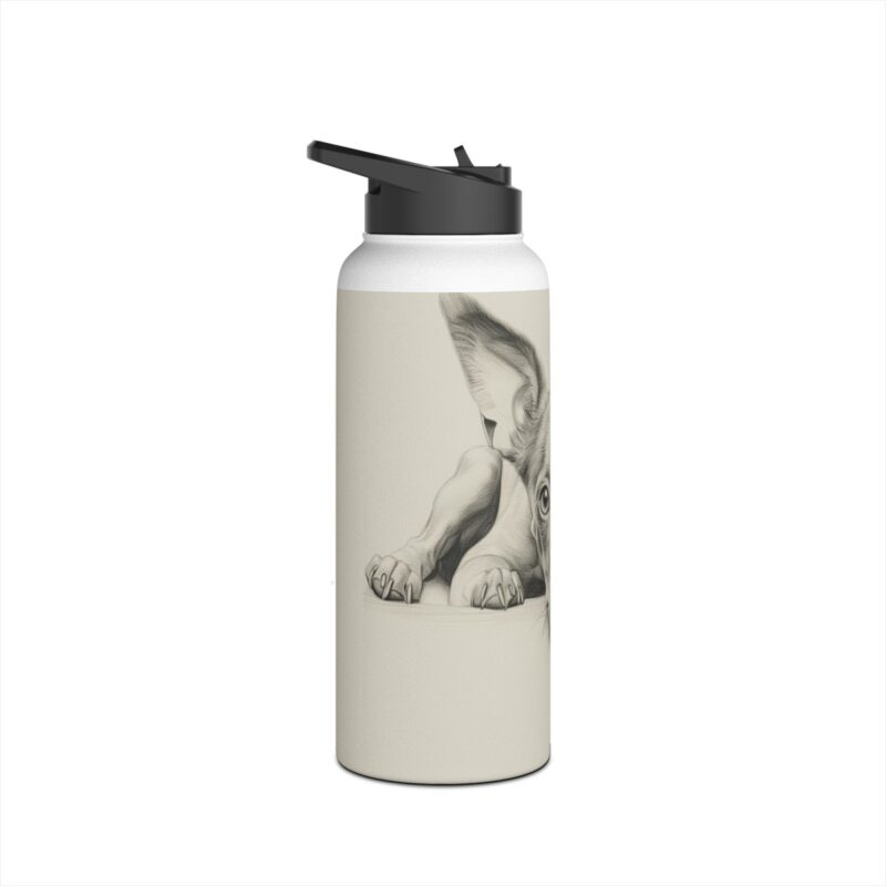 American Hairless Terrier Stainless Steel Water Bottle