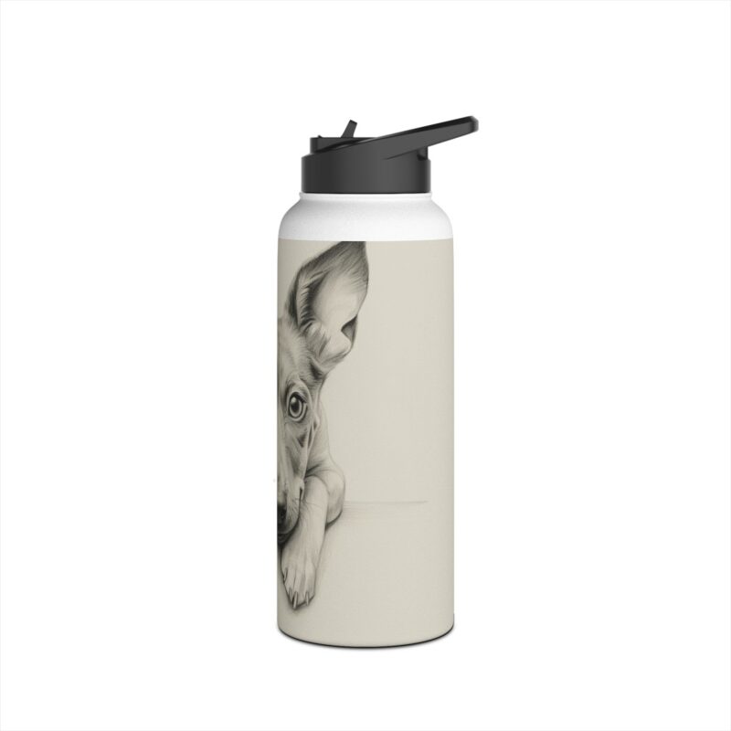 American Hairless Terrier Stainless Steel Water Bottle