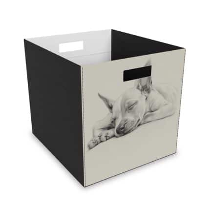 American Hairless Terrier Collapsible Felt Storage Box