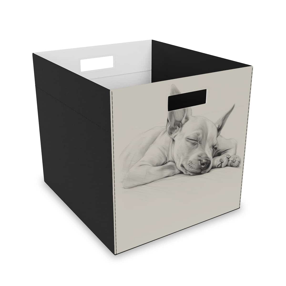 American Hairless Terrier Collapsible Felt Storage Box