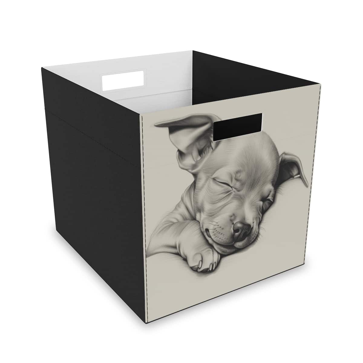 American Hairless Terrier Collapsible Felt Storage Box