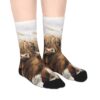 Highland Cows Socks