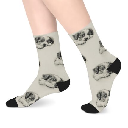 Australian Shepherd Dog Socks