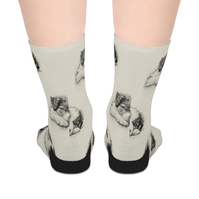 Australian Shepherd Dog Socks