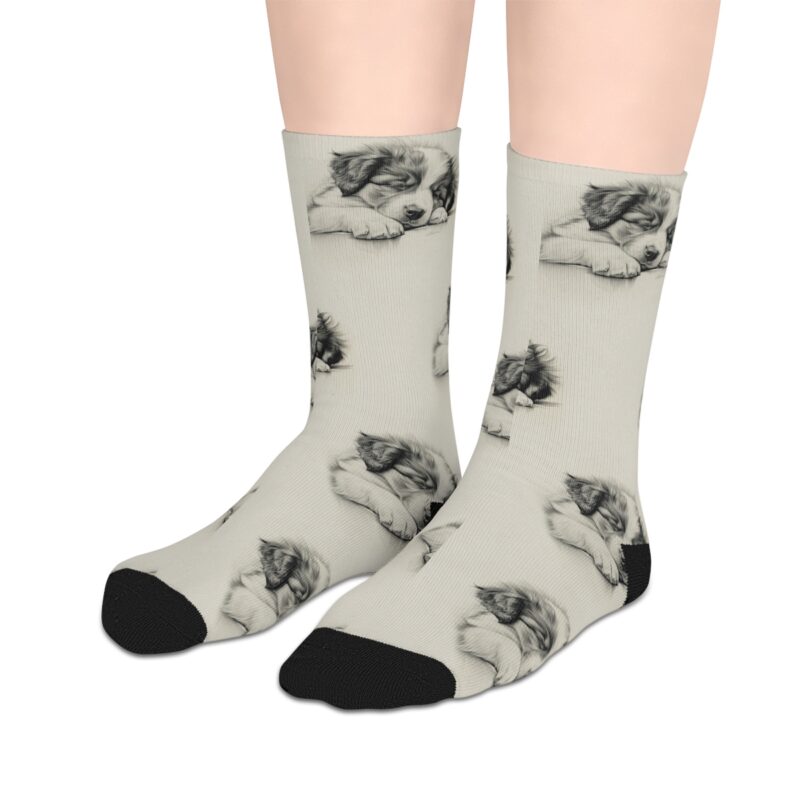 Australian Shepherd Dog Socks