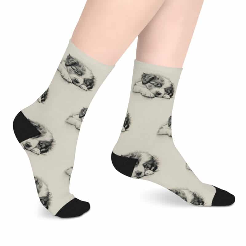 Australian Shepherd Dog Socks