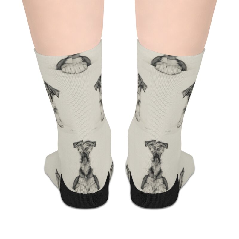 Australian Shepherd Dog Socks