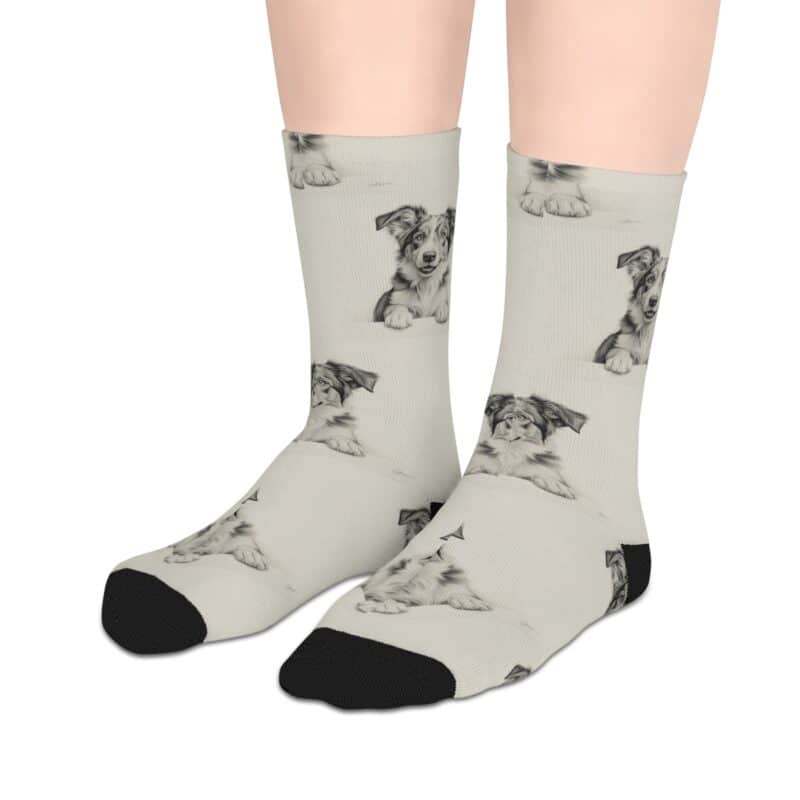 Australian Shepherd Dog Socks