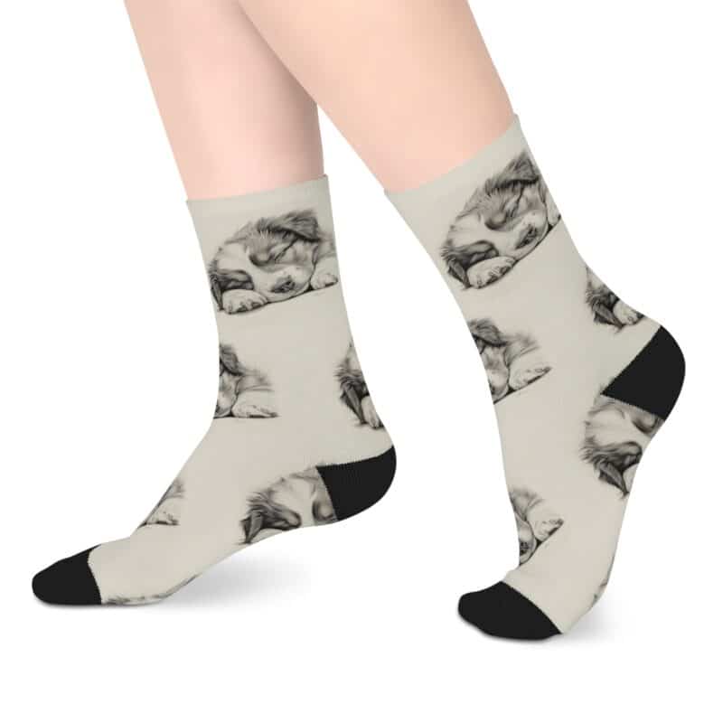 Australian Shepherd Dog Socks