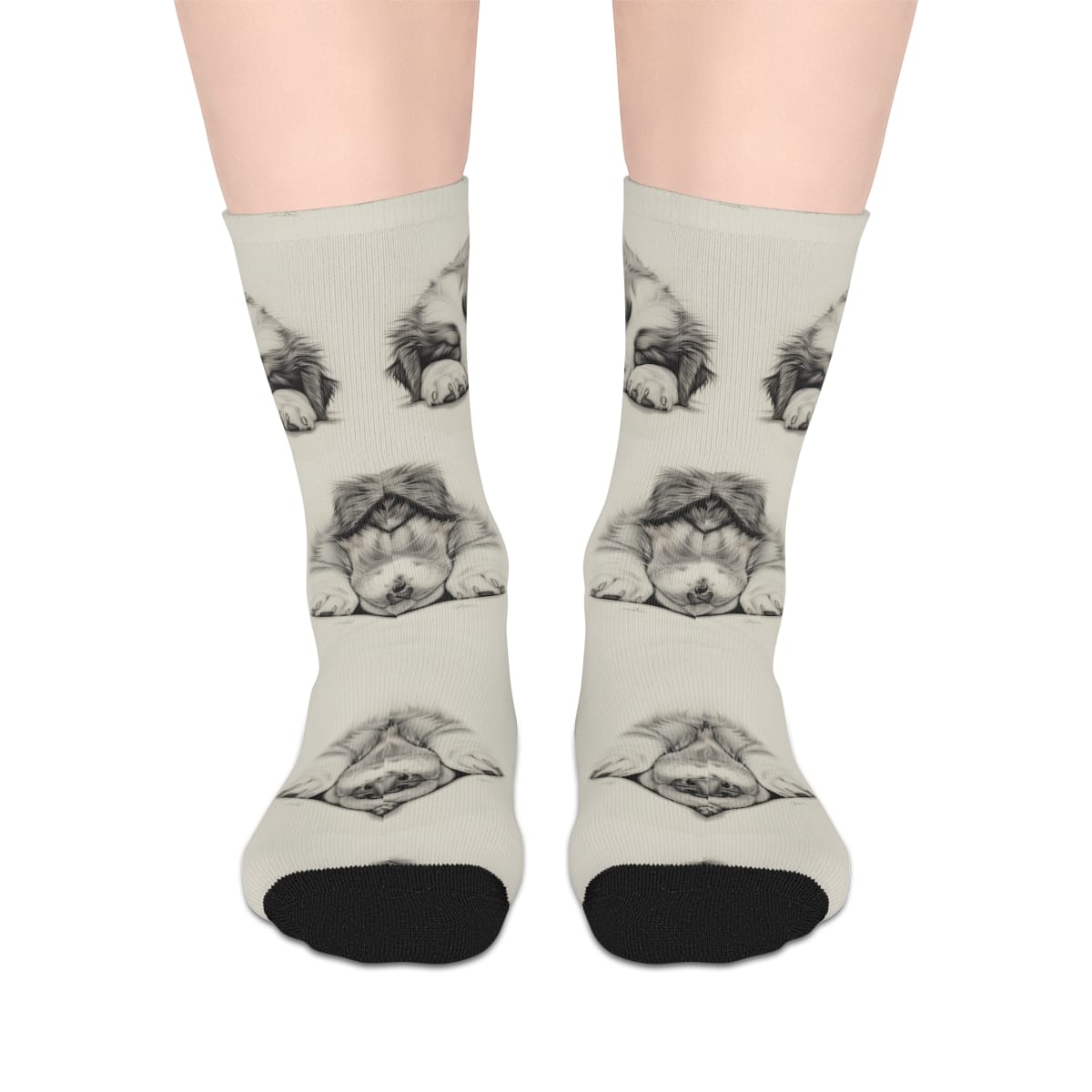 Australian Shepherd Dog Socks