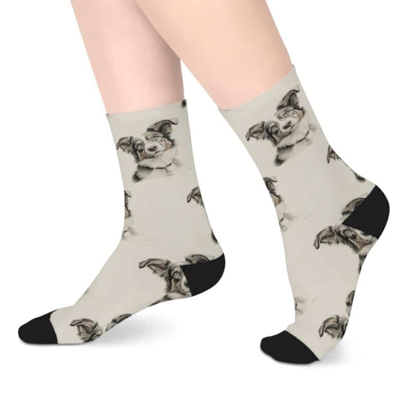 Australian Shepherd Dog Socks