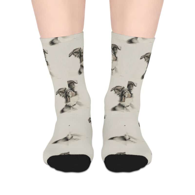 Australian Shepherd Dog Socks