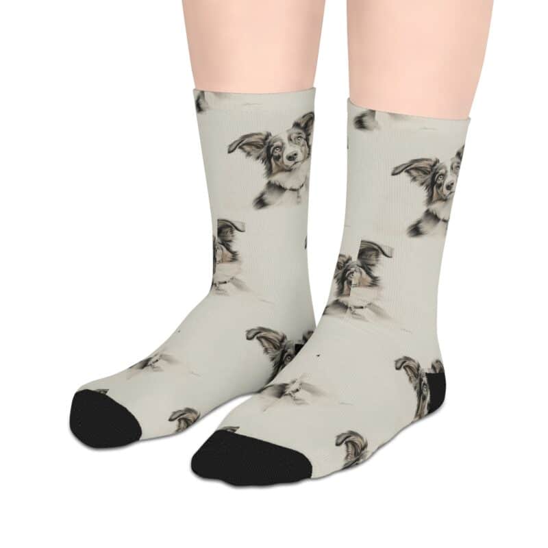 Australian Shepherd Dog Socks