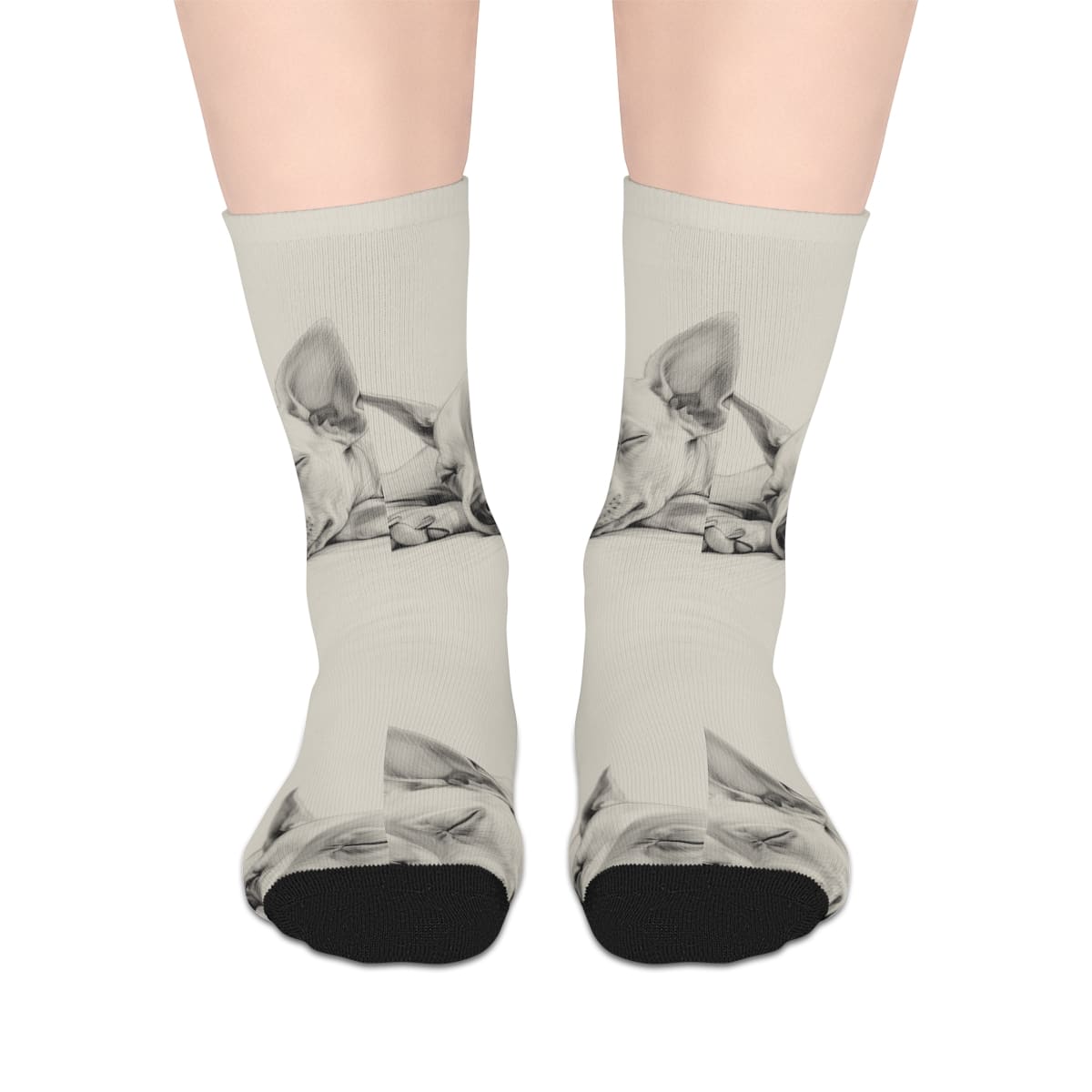 American Hairless Terrier Mid-length Socks