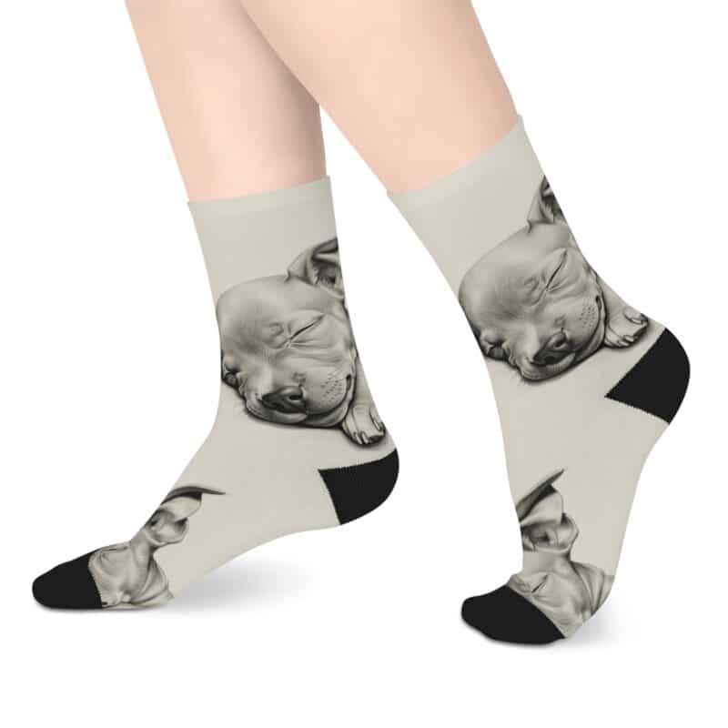 American Hairless Terrier Mid-length Socks