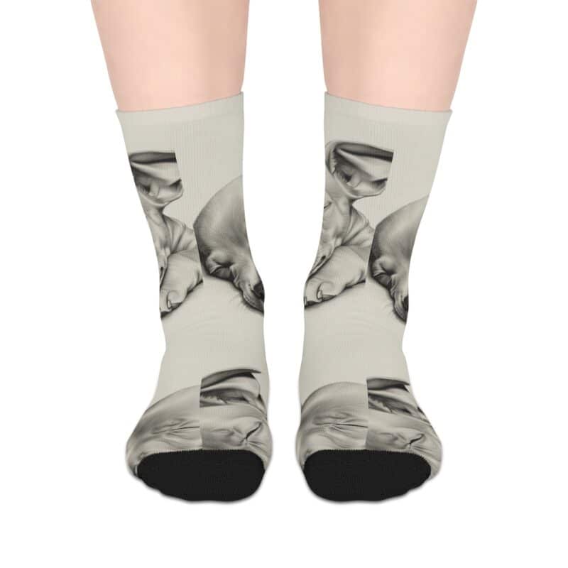 American Hairless Terrier Mid-length Socks