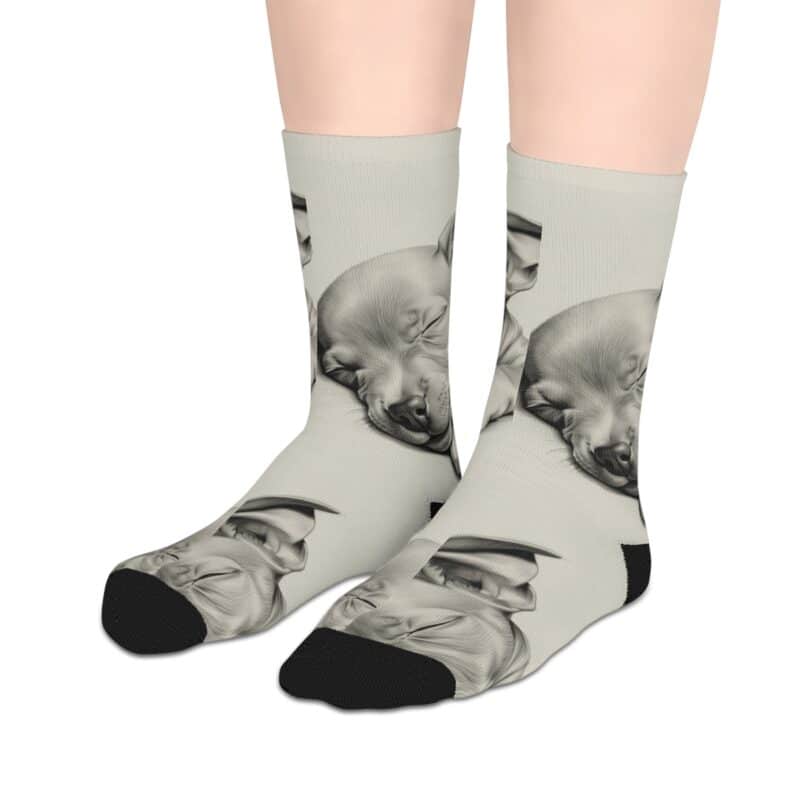 American Hairless Terrier Mid-length Socks