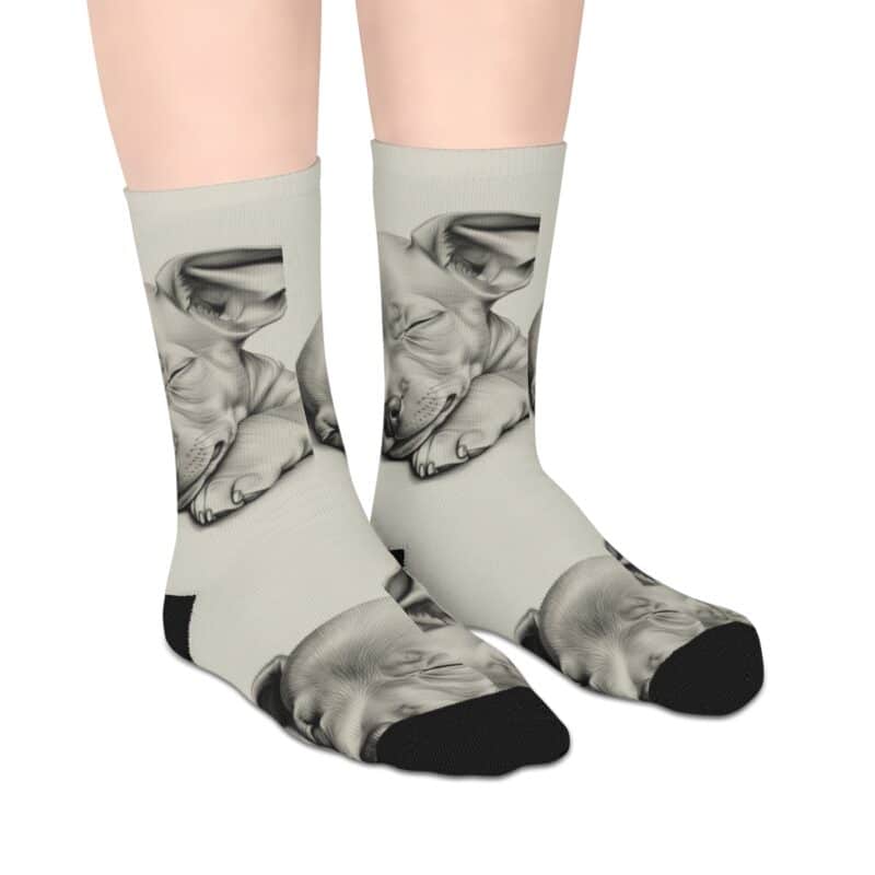 American Hairless Terrier Mid-length Socks