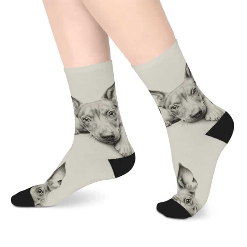 American Hairless Terrier Mid-length Socks