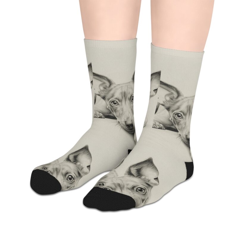 American Hairless Terrier Mid-length Socks