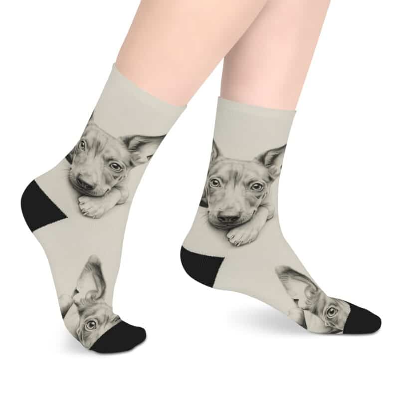 American Hairless Terrier Mid-length Socks