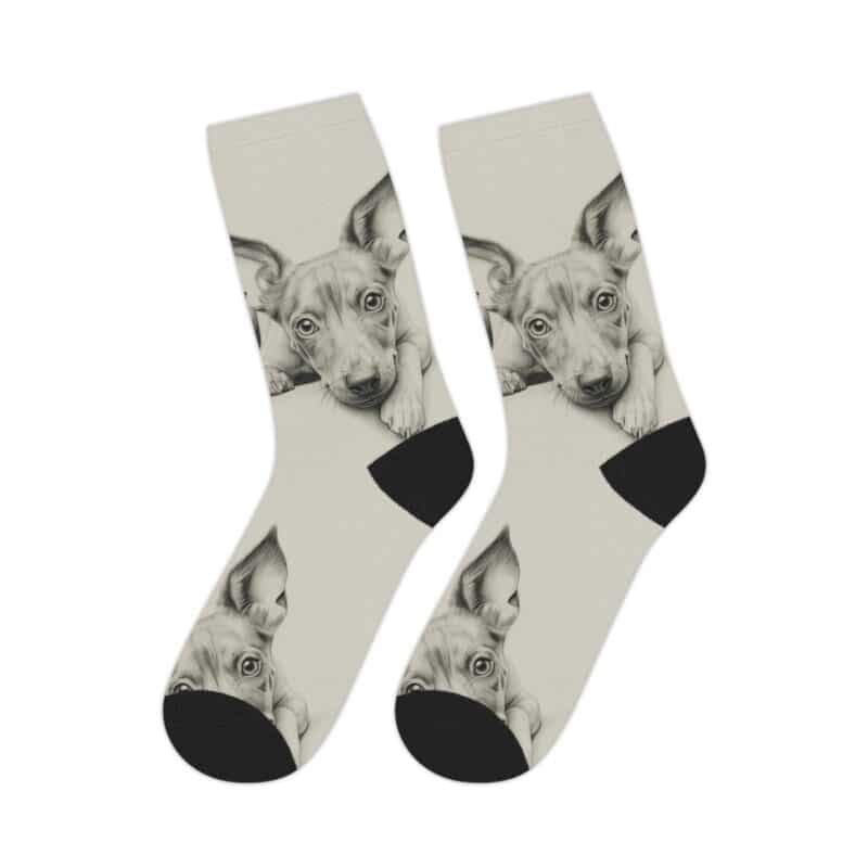 American Hairless Terrier Mid-length Socks