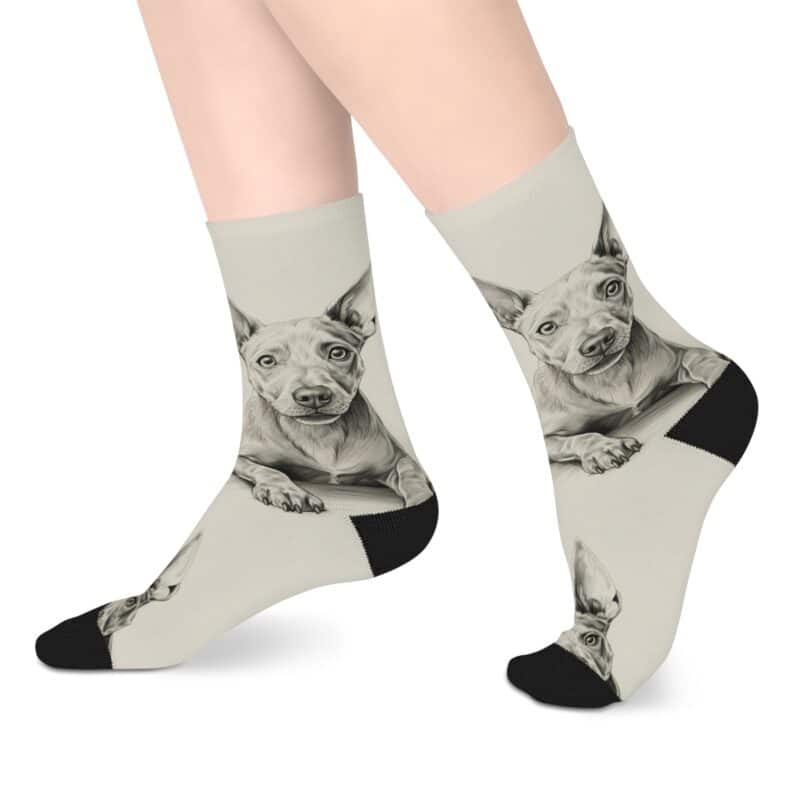 American Hairless Terrier Mid-length Socks