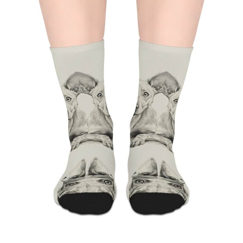 American Hairless Terrier Mid-length Socks