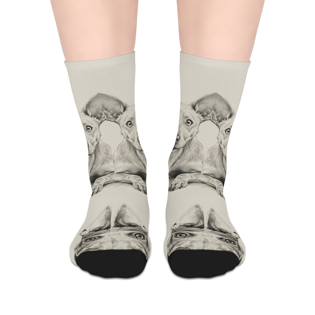 American Hairless Terrier Mid-length Socks