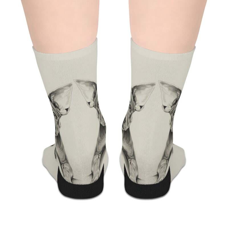 American Hairless Terrier Mid-length Socks