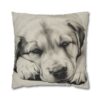 Anatolian Shepherd Dog Square Double-Sided Cushion Cover