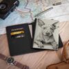 American Hairless Terrier Passport Cover