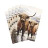 Highland Cows Playing/Poker Cards