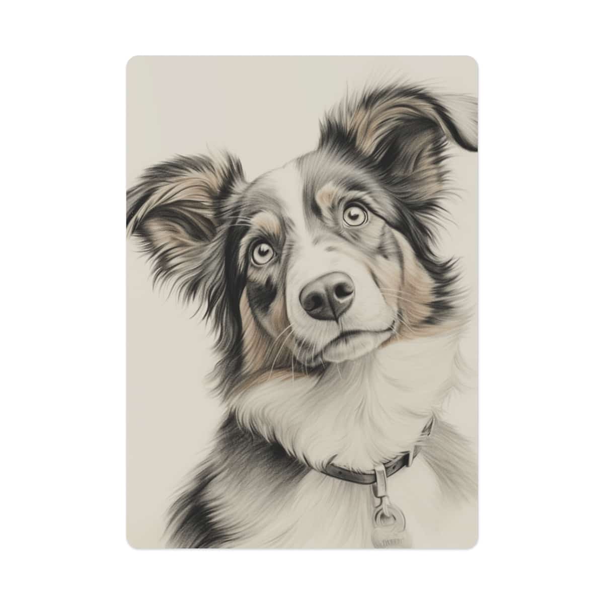 Australian Shepherd Dog Playing/Poker Cards