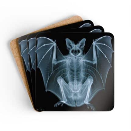 Bat XRay Coaster Set