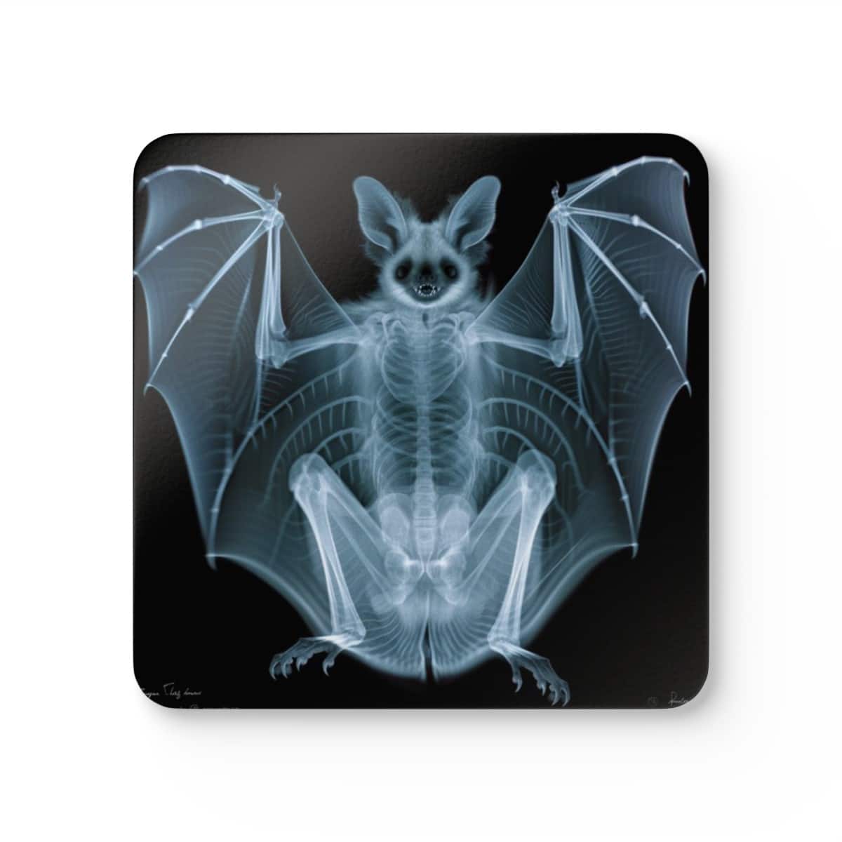 Bat XRay Coaster Set